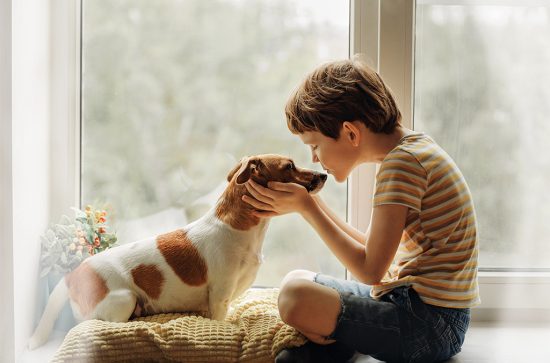 آموزش مهربانی با حیوانات به کودکان