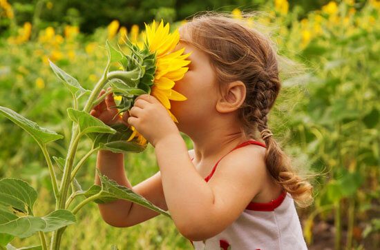 آموزش دوستی با طبیعت به کودکان کیدزی